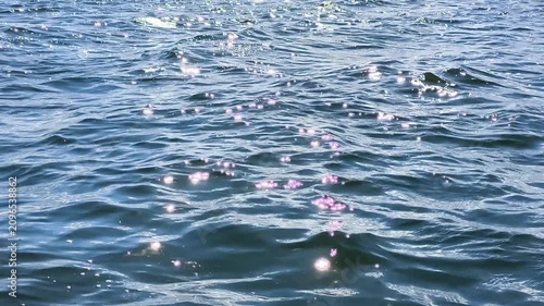 Close-up of shimmering sun glares and sparkles on a moving blue water surface of a lake