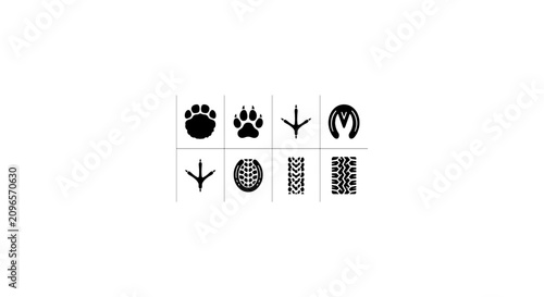 Photography Animal Tracks and Footprints Vector Icons Set, Paw Prints, Bird Claws, Textured