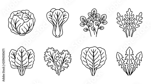 Konstfotografi Leafy Greens Vector Icons Set, Fresh Vegetable Illustrations, Healthy Food Graph