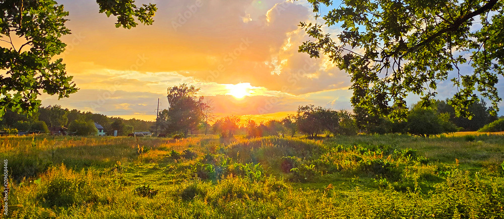 Obraz premium Sunset in a summer field with green grass and trees, panorama