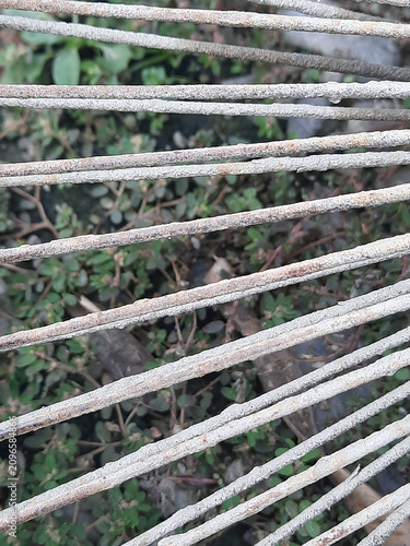 Foto Weathered rusty metal rake tines with parallel lines and green foliage
