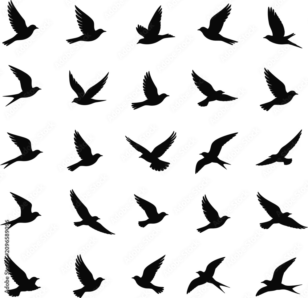 Fototapeta premium Collection of black silhouette birds in flight vector illustration