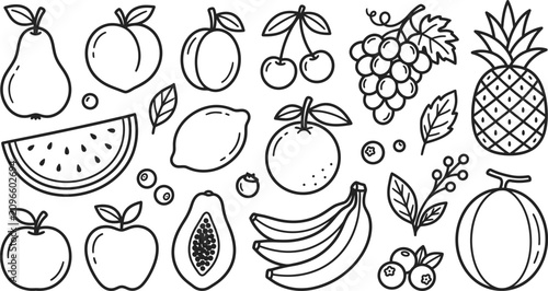 Cute fruits doodle set coloring page vector with line art elements