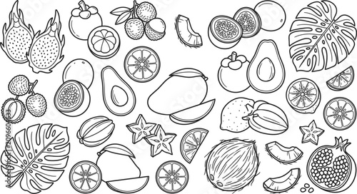 Tropical fruits doodle set coloring page vector with exotic fruit elements