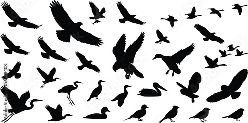 Konstfotografi Flying Birds and Migratory Avian Flock Solid Silhouette Icon Set Featuring Preda