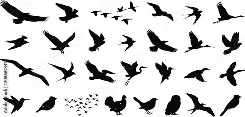 Konstfotografi Flying Birds and Wild Avian Flock Solid Silhouette Icon Set Featuring Migratory