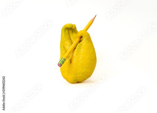 Bild auf Leinwand A lemon resembling a hand holding a pencil on a white background