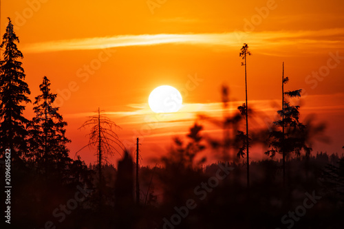 Foto Dramatic red sunrise above Tatra Mountains forests near Zakopane.