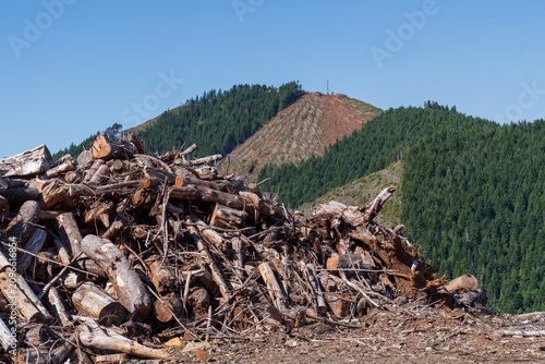 Photography Slash pile and logging operation in Western Oregon.