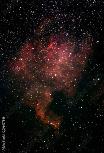 North America Nebula NGC 7000 emission nebula in Cygnus constellation.