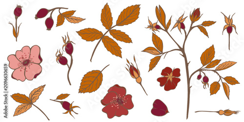 Canvastavla Hand Painted Rose Hip Branch
