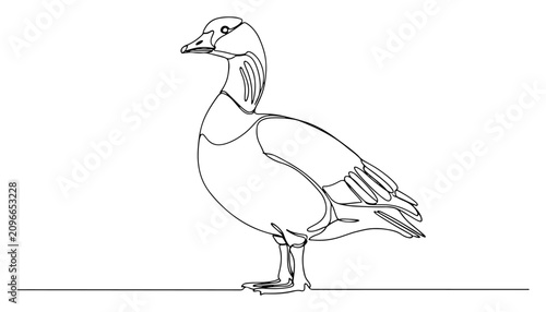 Tableau sur toile Goose continuous line drawing, minimalist waterfowl bird vector illustration, si