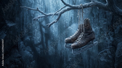 Old ice skates hang from a frosty tree branch in a moody, atmospheric scene. The skates are worn and show signs of past use, hinting at stories of winter adventures