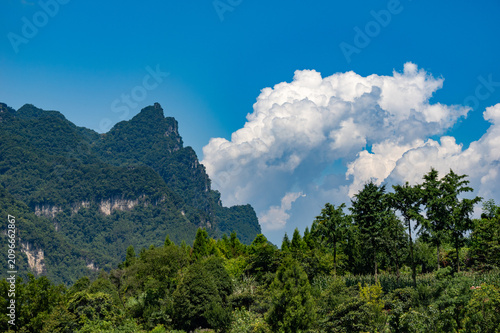 A scenic view of the lush green mountains and forest landscape within the Three Gorges Reservoir Area in China under a bright blue sky with fluffy white clouds