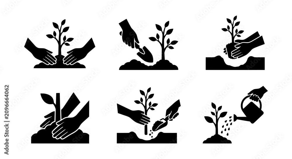 Obraz premium Planting Seedling Icons, Gardening Steps, Growing Tree Vector Set, Agriculture Process