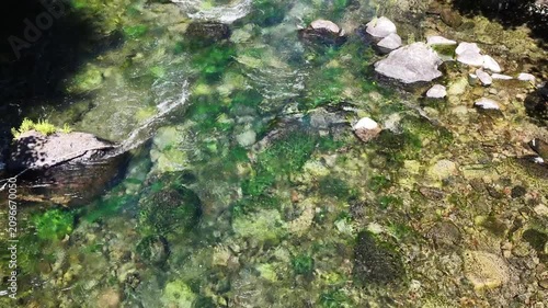 Clear water flows down the Clackamas River in Northwestern Oregon, not far from Salem. Originating in the Mt. Hood National Forest, this beautiful 83-mile river is a tributary to the Willamette River.