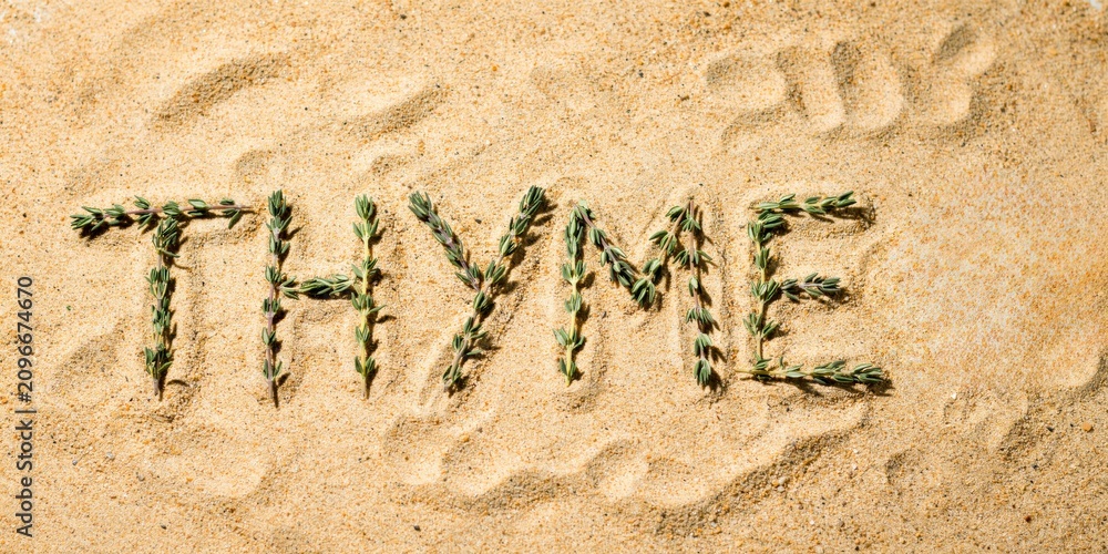Fototapeta premium Herbs spelling Thyme written in sand on a beach