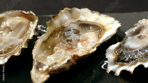 Fresh raw oysters with ice, french restaurant, mediterranean Healthy sea food, gourment luxury cuisine. Close up of seafood restaurant. 
