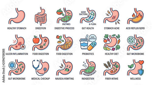 Fotografie Human Stomach Health and Digestion Icons Set: Gut Health, Microbiome, Wellness