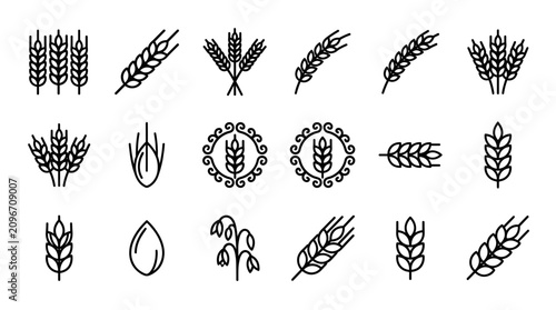 Cuadro en lienzo Wheat and grain line icons for agricultural branding.