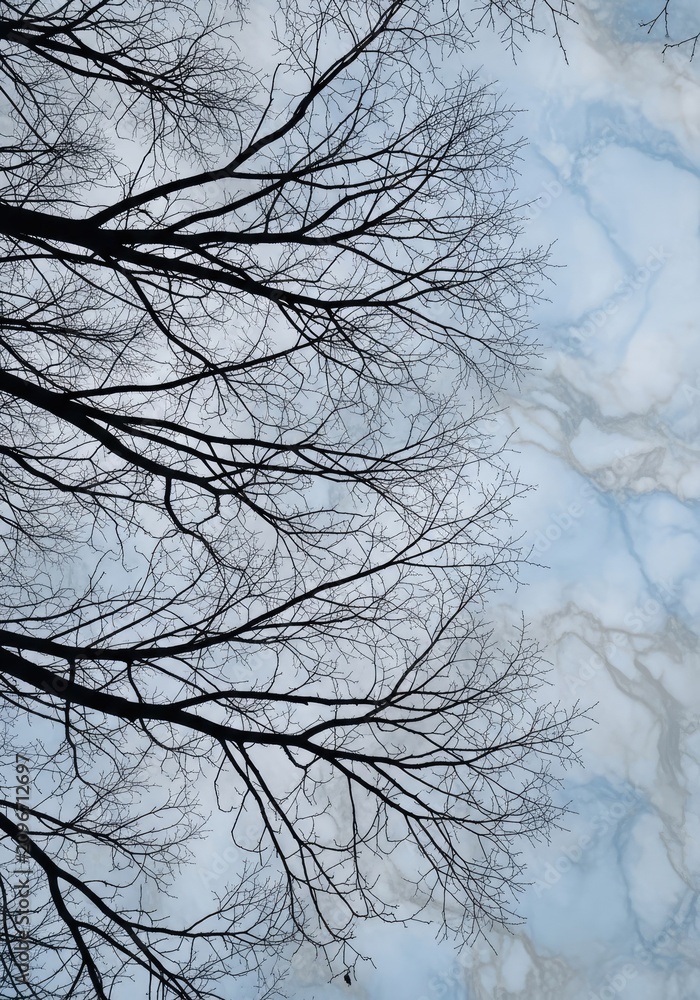 Obraz premium Bare tree branches against a cloudy sky background in vertical composition