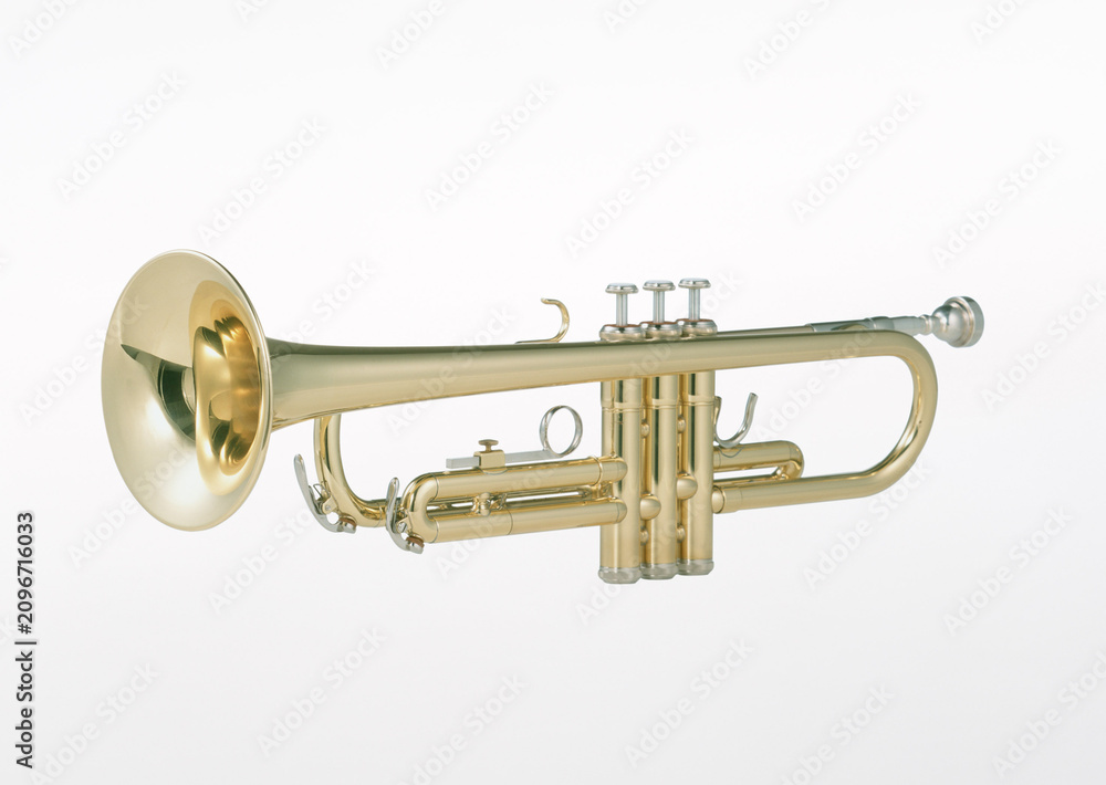 Obraz premium brass trumpet isolated on white