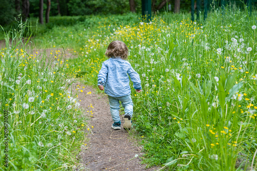 Small toddler boy walking on pathway through wildflower field back view