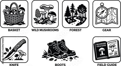 Canvastavla Wild mushroom foraging hobby vector icon set featuring basket chanterelles forest compass knife boots and field guide