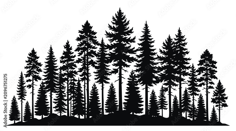 Fototapeta premium Adobe Illustrator Artwork