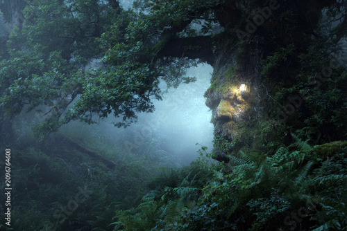 Ancient forest tree with a carved face and lantern in mossy woodland for fantasy book cover or enchanted poster background