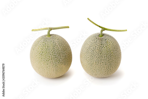 白背景に置かれた高品質な北海道産のメロン　Japanese melon with stalk isolated on white background