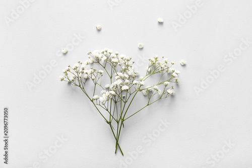 Composition with beautiful ...