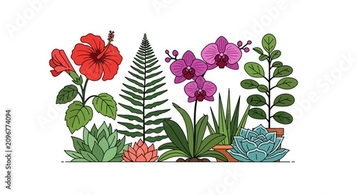 Variety of colorful flowering plants.
