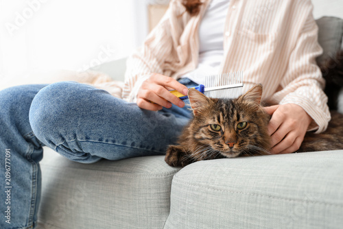 Young woman brushing fluffy...