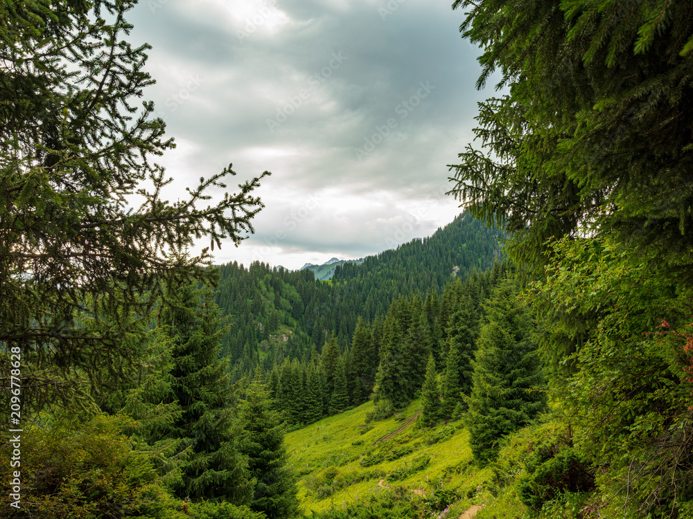 Fototapeta premium Landscape Kazachstan, mountain, trees, green, woods, travel, pine, blue, clubs,