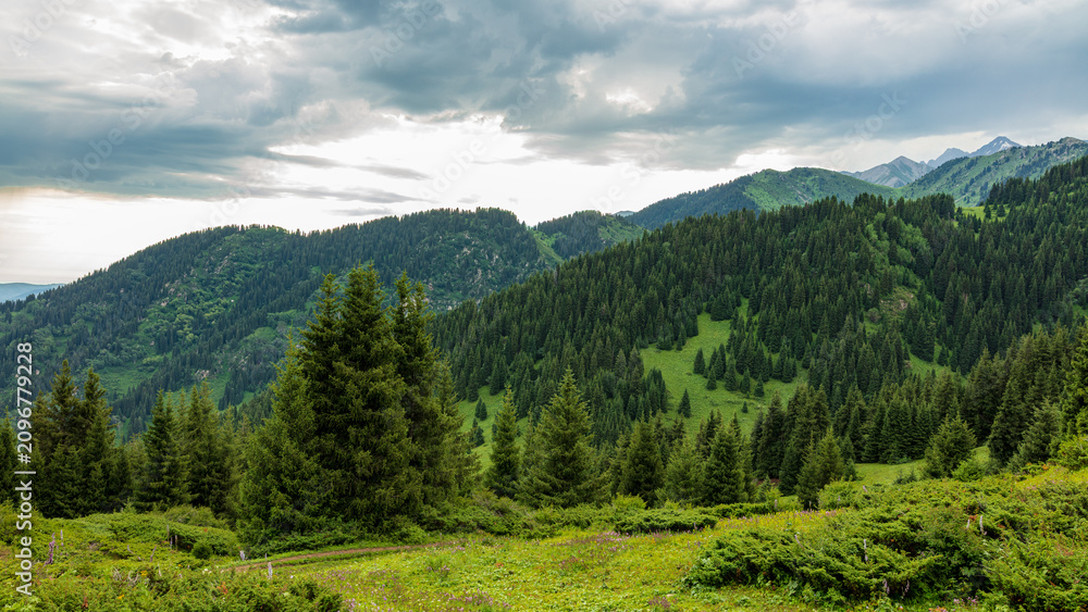 Obraz premium Landscape Kazachstan, mountain, trees, green, woods, travel, pine, blue, clubs,