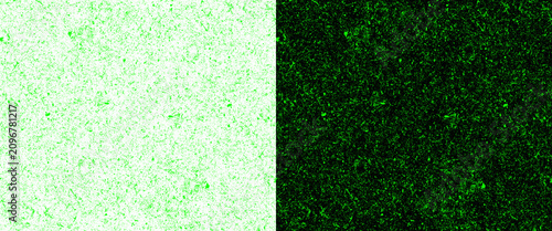 Green grainy texture background, split screen abstract noise pattern, emerald and mint speckled surface for digital art and graphic design