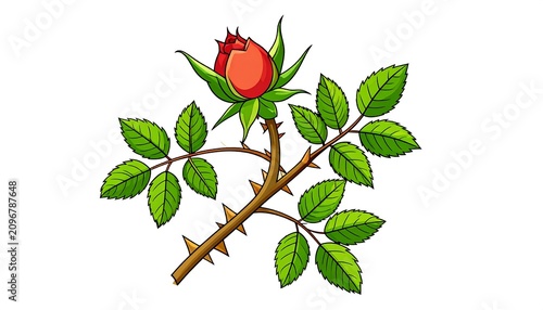 A colorful illustration of a rosebud on a thorny stem