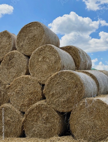 Фотография A large stack of big round hay bales or straw rolls piled up high under a bright blue sky with fluffy clouds