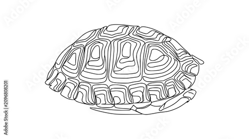 Photos Detailed line art of a tortoise shell pattern, black and white outline illustrat