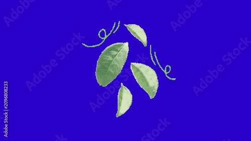 Falling Leaves Blue Screen Animation