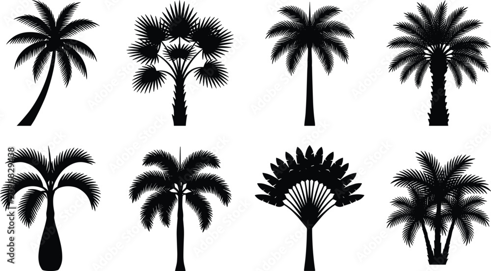 Fototapeta premium Tropical Palm Tree Silhouette Collection Featuring Diverse Exotic Palm Species Isolated on White Background