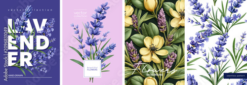 Hand drawn set of floral designs. Vectorized hand drawn gouache illustrations. High quality illustrations of lavender, flowers and leaves for poster, prints, menu, card or cover