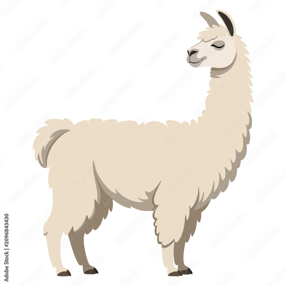 Fototapeta premium Adorable lama exterior vector illustration in flat style isolated on white background perfect for cartoon animal projects