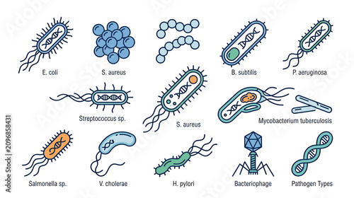 Bild auf Leinwand Collection of Diverse Bacteria and Bacteriophage Types, Medical Illustration