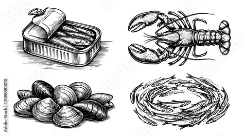 Detailed vector illustration of various seafood including lobster and fish