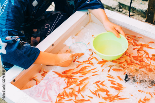 夏祭りの金魚すくい