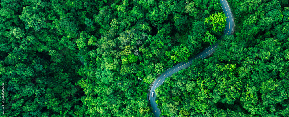 Obraz premium Winding road surrounded by tropical forest showcasing biodiversity conservation, Sustainable Infrastructure, Renewable Energy support, Carbon Credit opportunities, ESG leadership, and Net Zero busines