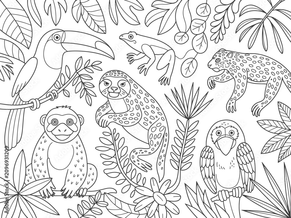 Fototapeta premium Colorful Tropical Forest Animals Line Art Illustration With Transparent Background