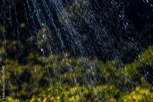 Obraz na plátně High shutter speed close-up photo capturing crisp water drops spraying from a sprinkler over dark green tropical garden trees during a hot sunny day in Brazil